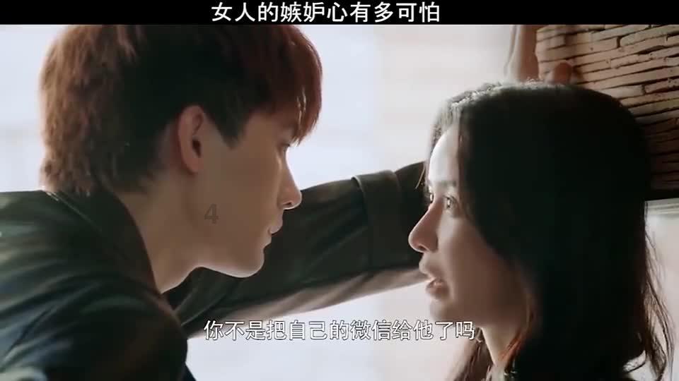 土鸡蛋和草鸡蛋的区别是什么?